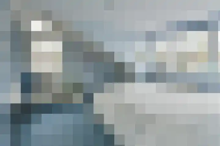 Glaskruid 9 Breukelen thumbnail 20