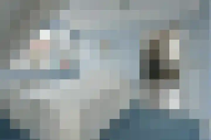 Glaskruid 9 Breukelen thumbnail 21