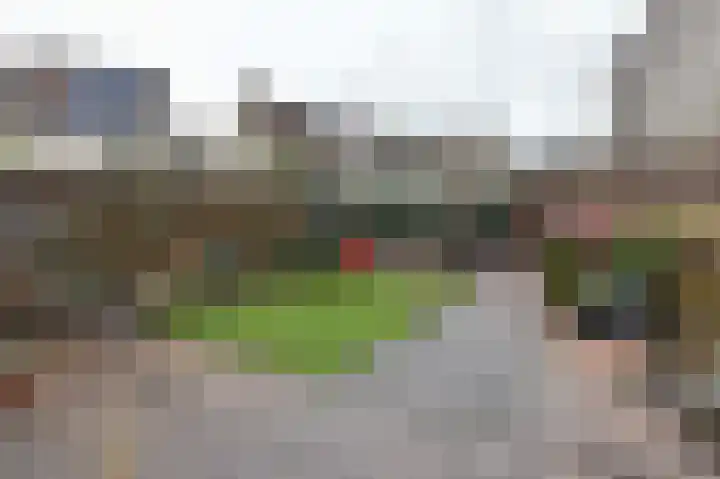 Glaskruid 9 Breukelen thumbnail 22