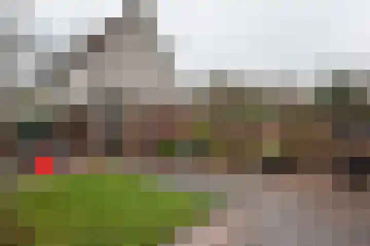 Glaskruid 9 Breukelen thumbnail 23