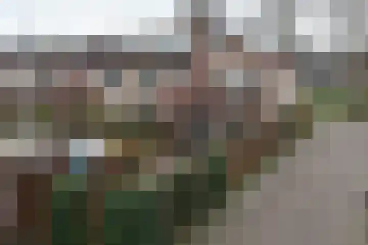 Glaskruid 9 Breukelen thumbnail 24