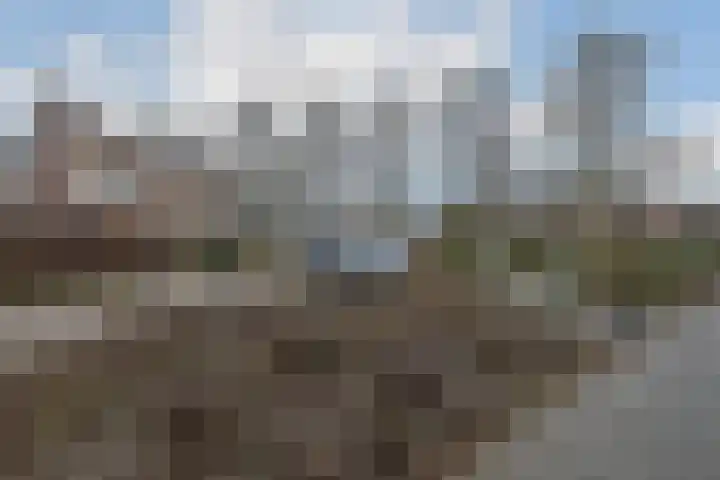 Glaskruid 9 Breukelen thumbnail 25