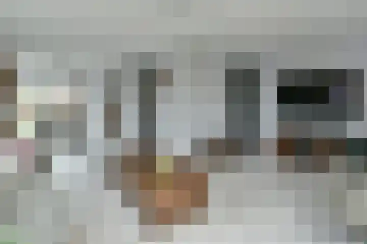 Glaskruid 9 Breukelen thumbnail 5