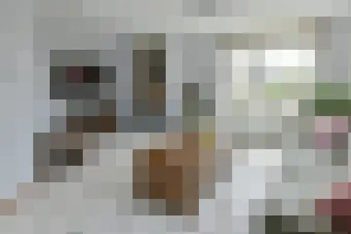 Glaskruid 9 Breukelen thumbnail 6