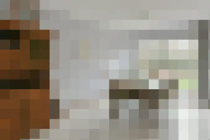 Glaskruid 9 Breukelen thumbnail 8