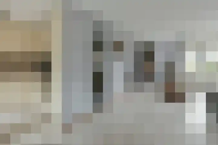 Glaskruid 9 Breukelen thumbnail 9