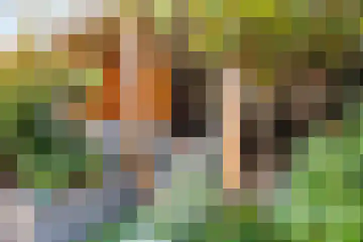 Glauconiet 14 Deest thumbnail 34