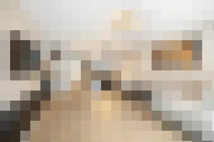 Glauconiet 9 Deest thumbnail 10