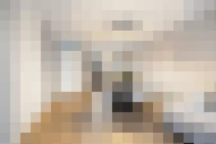 Glauconiet 9 Deest thumbnail 11