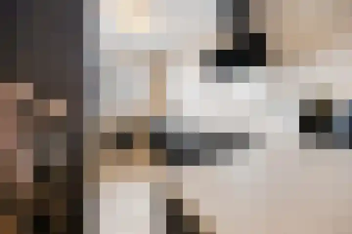 Glauconiet 9 Deest thumbnail 14