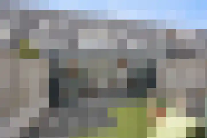 Glauconiet 9 Deest thumbnail 4