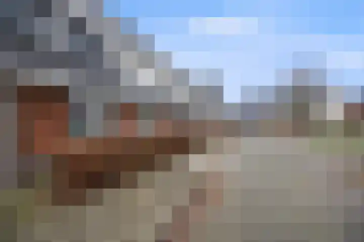 Glauconiet 9 Deest thumbnail 44