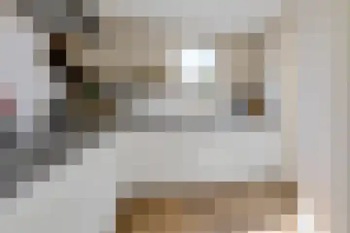 Glauconiet 9 Deest thumbnail 46