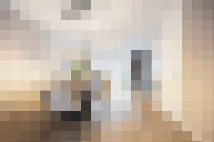 Glauconiet 9 Deest thumbnail 5