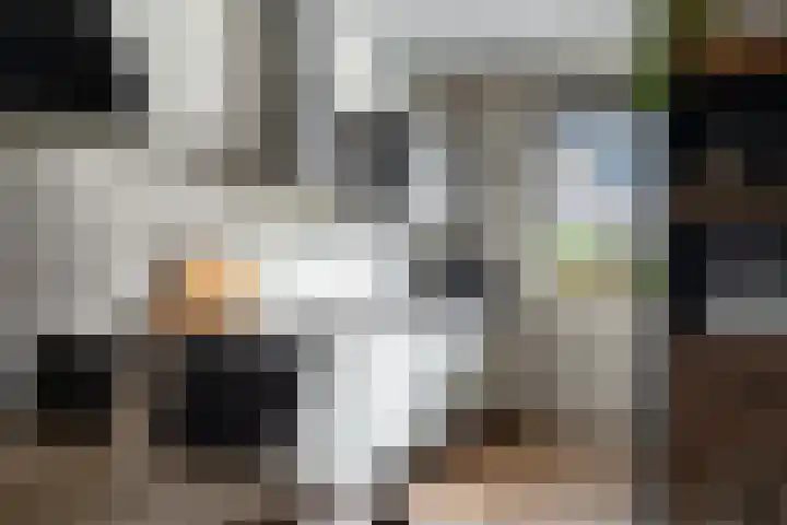 Glazenmaker 122 Epe thumbnail 12
