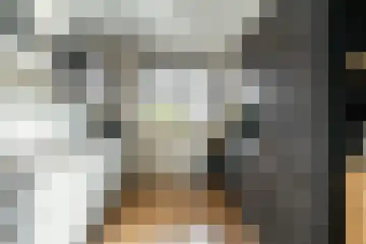 Glazenmaker 122 Epe thumbnail 13