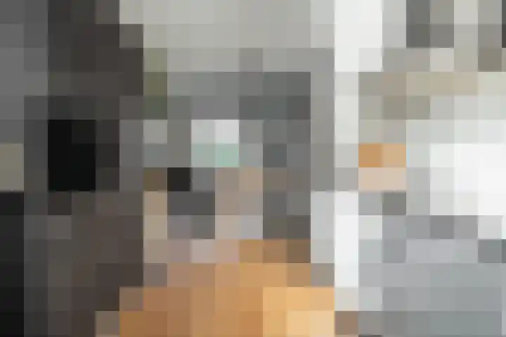 Glazenmaker 122 Epe thumbnail 14