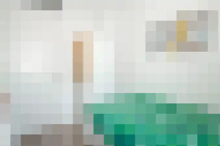 Glazenmaker 122 Epe thumbnail 22