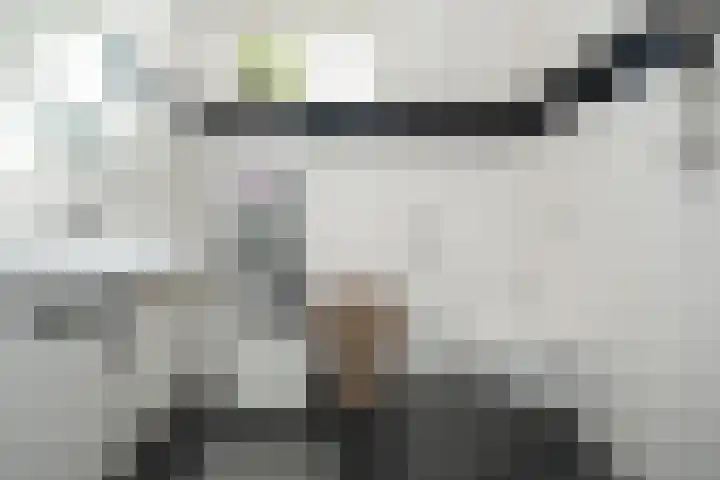 Glazenmaker 122 Epe thumbnail 25