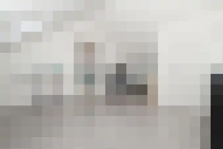 Glazenmaker 122 Epe thumbnail 27