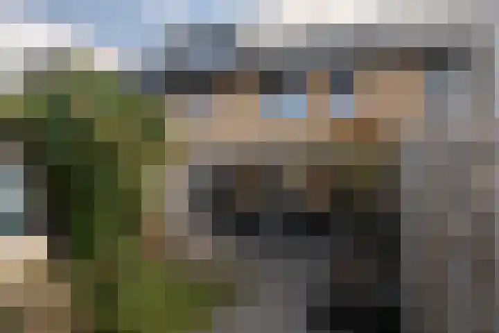 Glazenmaker 122 Epe thumbnail 29