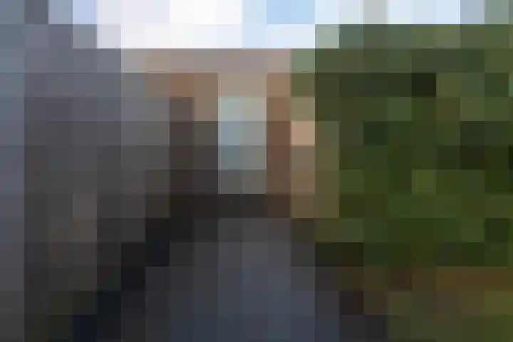 Glazenmaker 122 Epe thumbnail 32