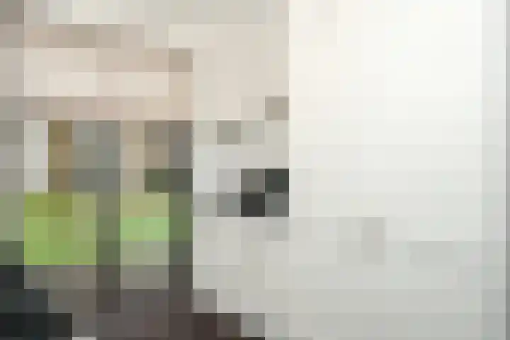 Glazenmaker 128 Epe thumbnail 10