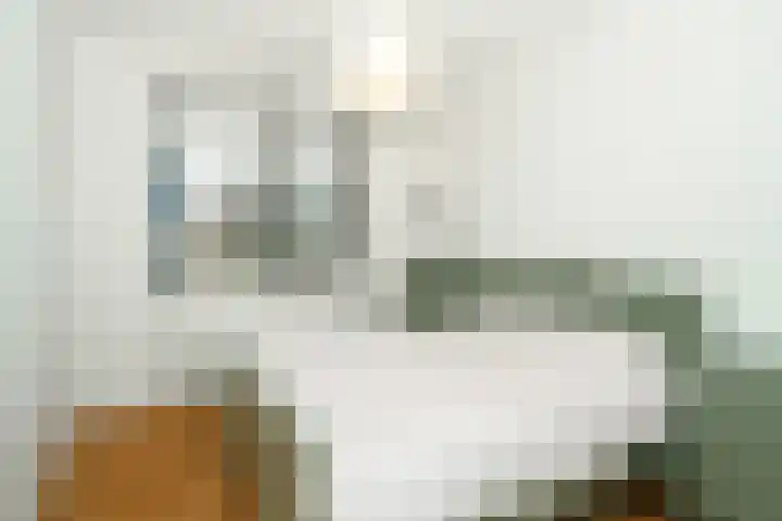 Glazenmaker 128 Epe thumbnail 14