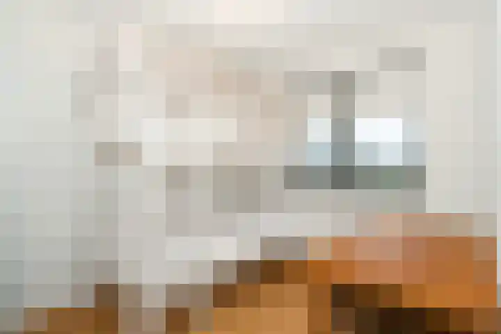 Glazenmaker 128 Epe thumbnail 16