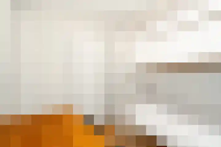 Glazenmaker 128 Epe thumbnail 17