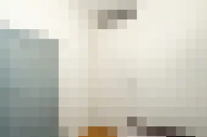 Glazenmaker 128 Epe thumbnail 19