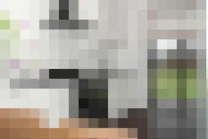 Glazenmaker 128 Epe foto 2