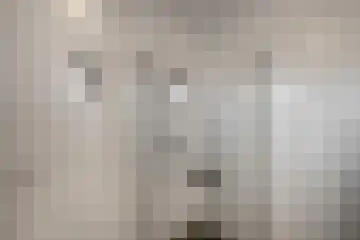 Glazenmaker 128 Epe thumbnail 21