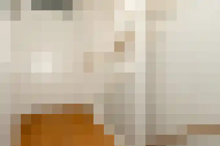 Glazenmaker 128 Epe thumbnail 22