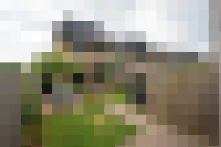 Glazenmaker 128 Epe thumbnail 28