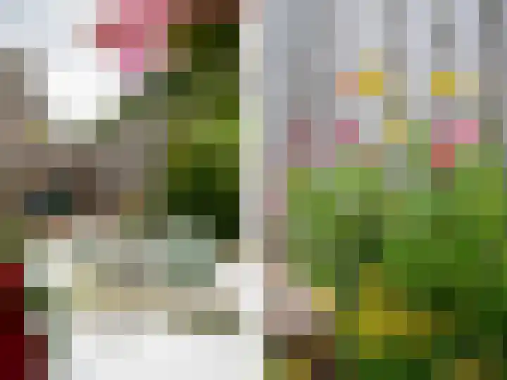 Glazenmaker 128 Epe thumbnail 29