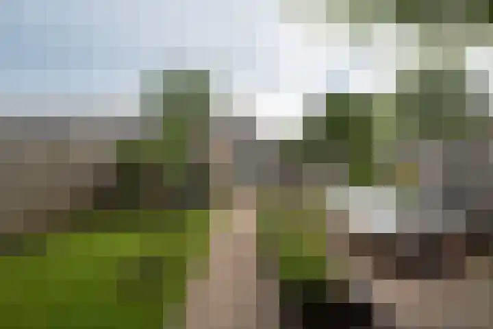 Glazenmaker 128 Epe foto 3