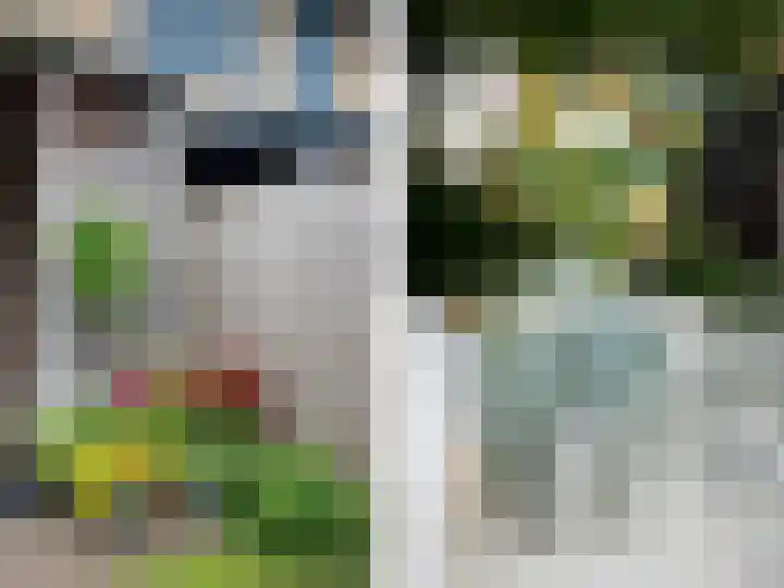 Glazenmaker 128 Epe thumbnail 30