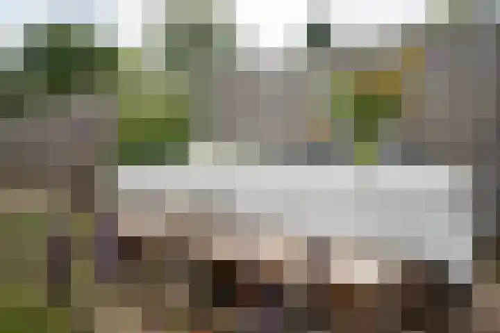 Glazenmaker 128 Epe thumbnail 31