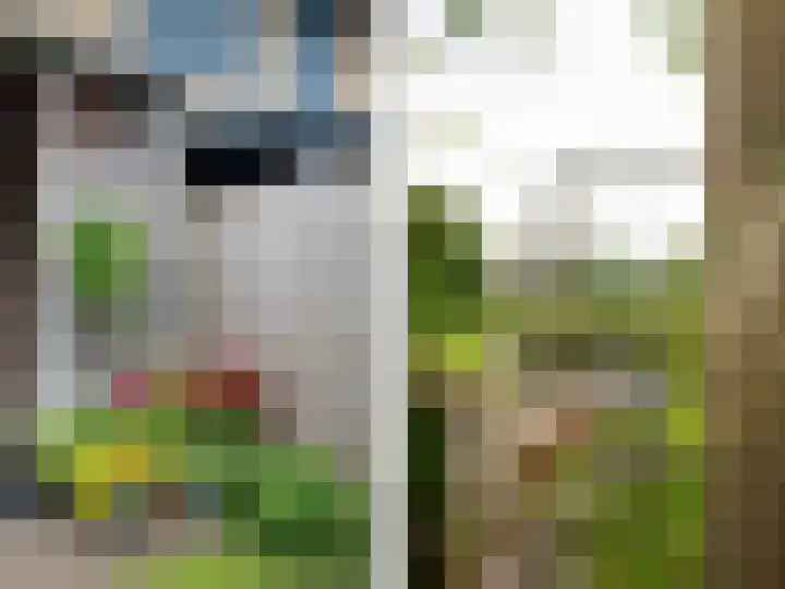 Glazenmaker 128 Epe thumbnail 32