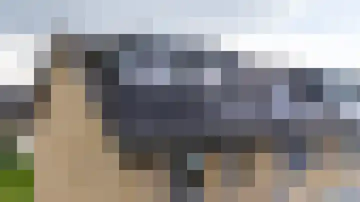 Glazenmaker 128 Epe thumbnail 34