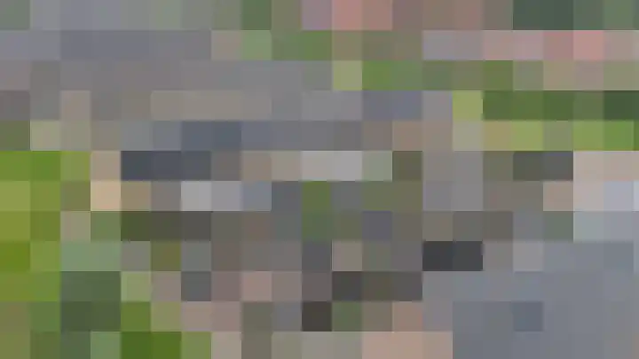 Glazenmaker 128 Epe thumbnail 35