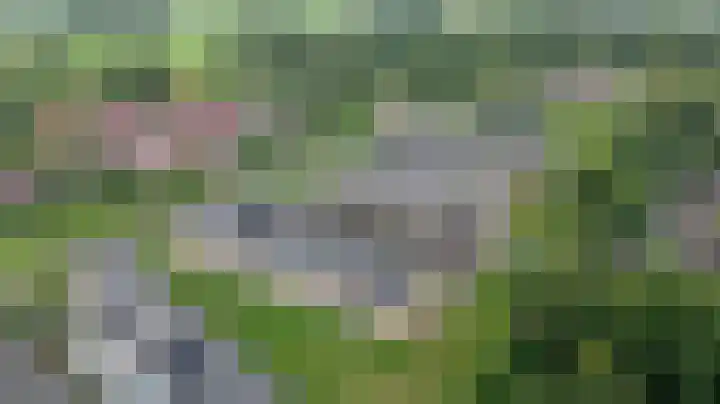 Glazenmaker 128 Epe thumbnail 5