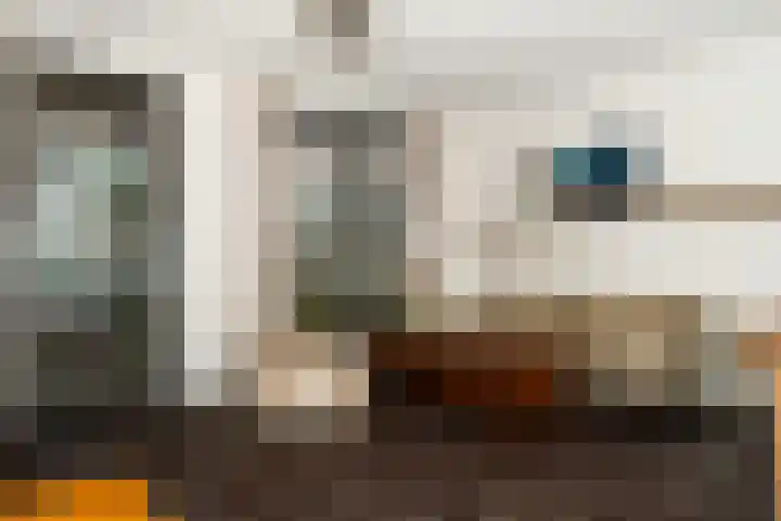 Glazenmaker 128 Epe thumbnail 7