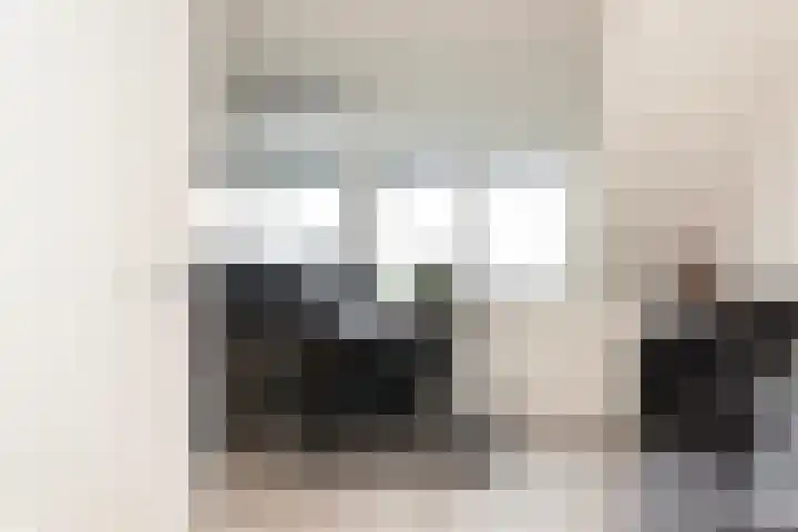 Glazenmaker 34 Epe thumbnail 18