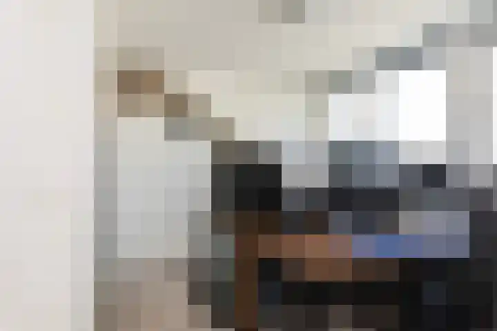 Glazenmaker 34 Epe thumbnail 19
