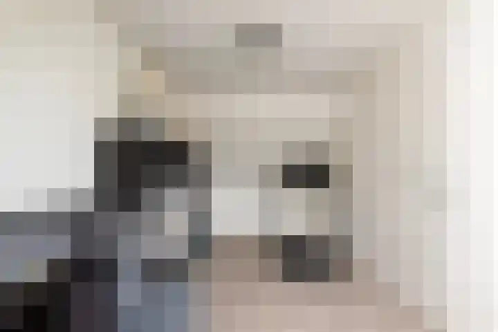 Glazenmaker 34 Epe thumbnail 20