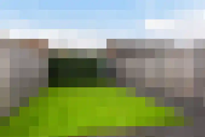 Glazenmaker 34 Epe thumbnail 22
