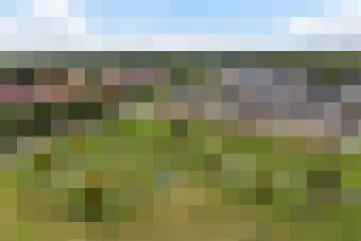 Glazenmaker 34 Epe thumbnail 25
