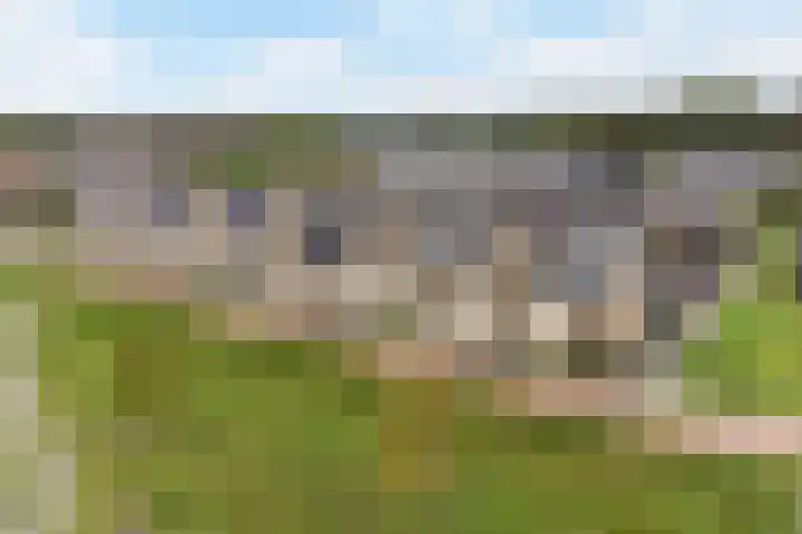 Glazenmaker 34 Epe thumbnail 27